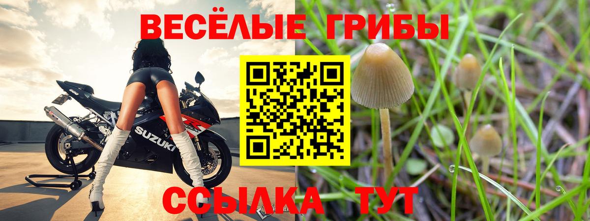 Псилоцибиновые грибы MAGIC MUSHROOMS Сызрань